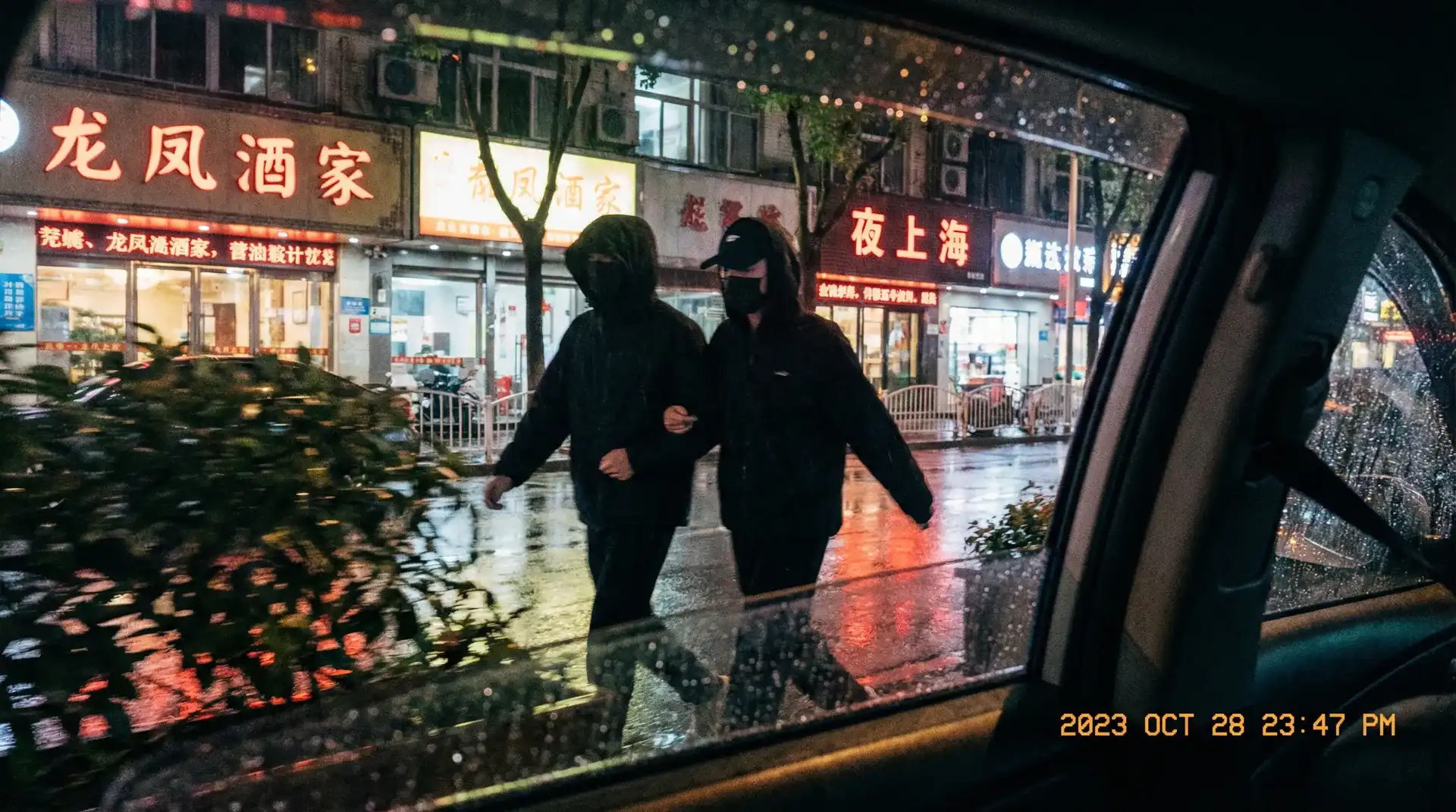 吸血鬼之花 - 顶流明星深夜密会现场抓拍照片